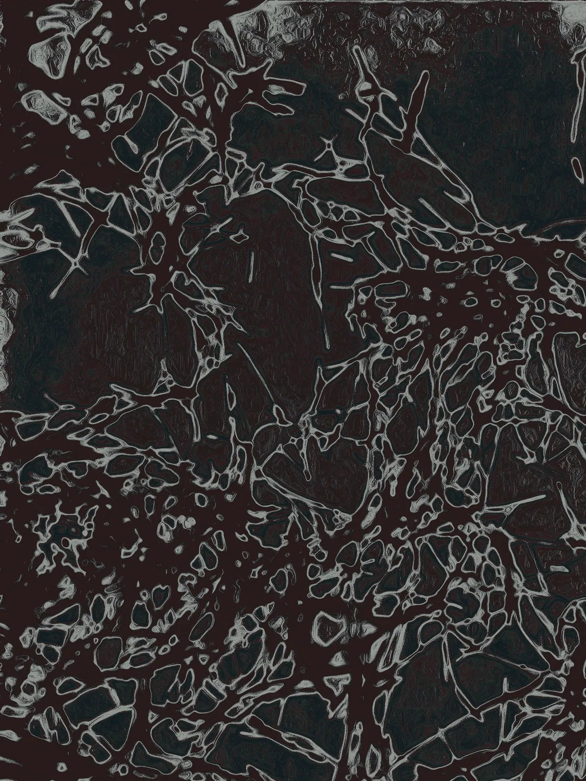 Micro Dysbiotic 03, 2023