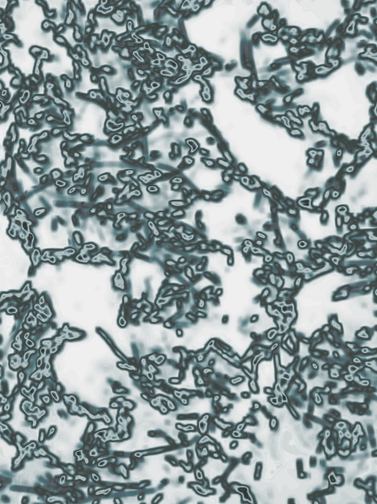 Micro Dysbiotic 04, 2023