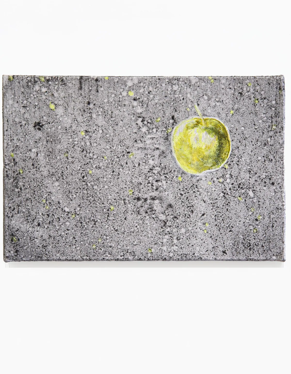 Malum, 2026, Oil on linen, 22 x 66 x 2,5 cm