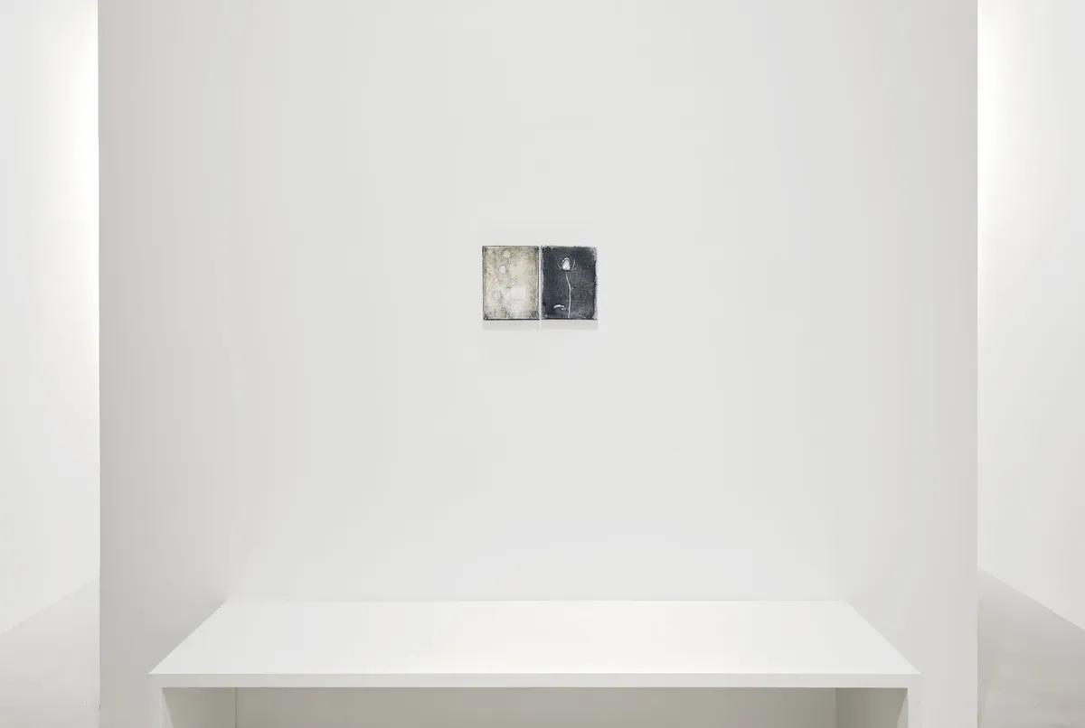 Never bothered to bloom, 2025, Oil on linen (diptych), 18 x 28 x 2,5 cm, Private collection