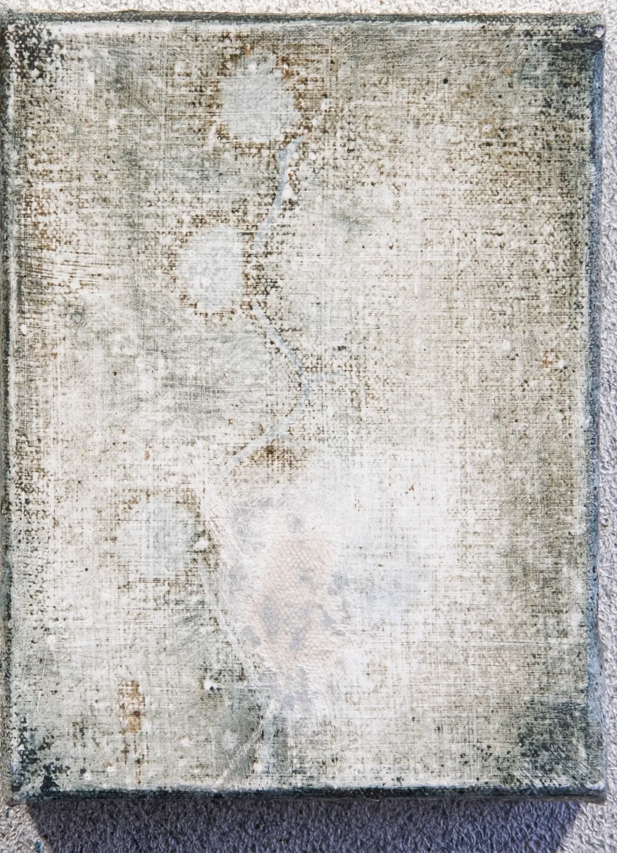 Never bothered to bloom (detail), 2025, Oil on linen (diptych), 18 x 28 x 2,5 cm, Private collection