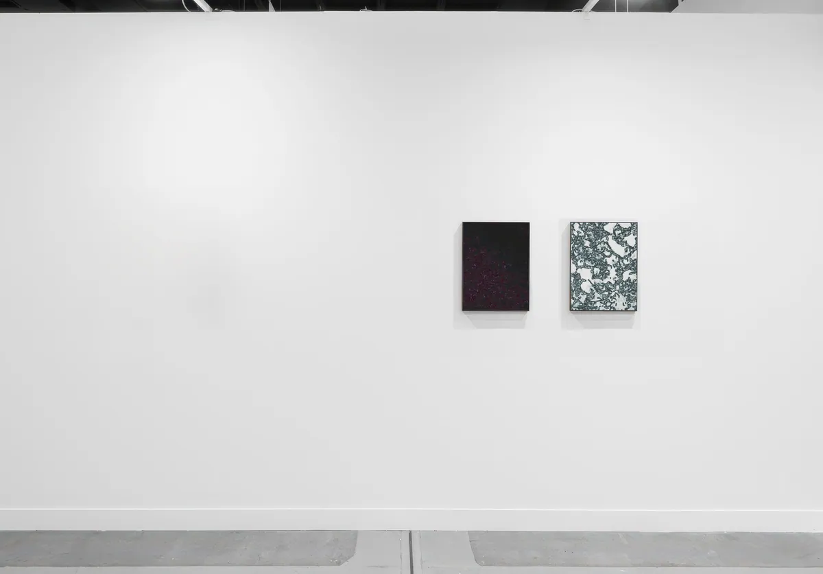 Bacteria dysbiotic 01, 2023, Pigment inkjet print, 46 x 38 x 4,5 cm, Private collection ; Bacteria dysbiotic 02, 2023, Pigment inkjet print, 46 x 38 x 0,2 cm, Private collection