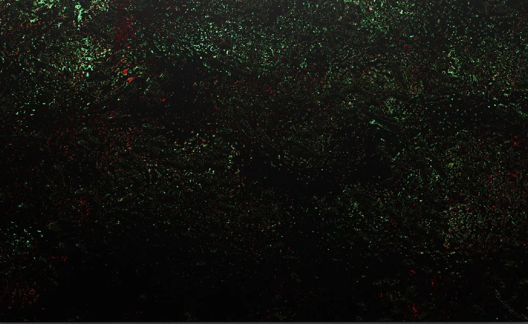 Inner Passengers 05, 2023, Unique print on aluminium, 100 x 180 x 0,2 cm
